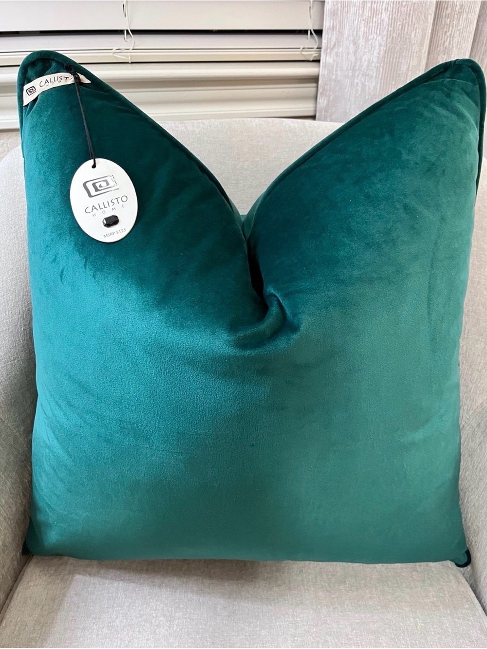 1-NWT CALLISTO HOME EMERALD GREEN
VELVET LUXURY DECORATIVE PILLOW (T1474F38)